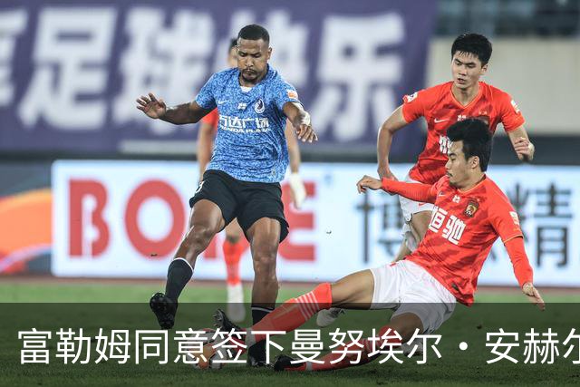 富勒姆同意签下曼努埃尔·安赫尔与雨果·拉尔森，中场重建逐步成形