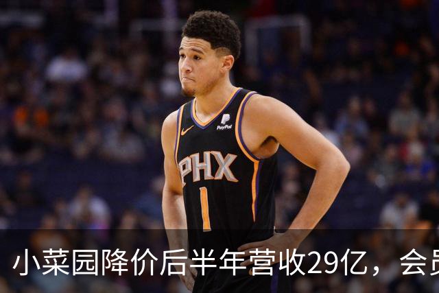 小菜园降价后半年营收29亿，会员复购占大头